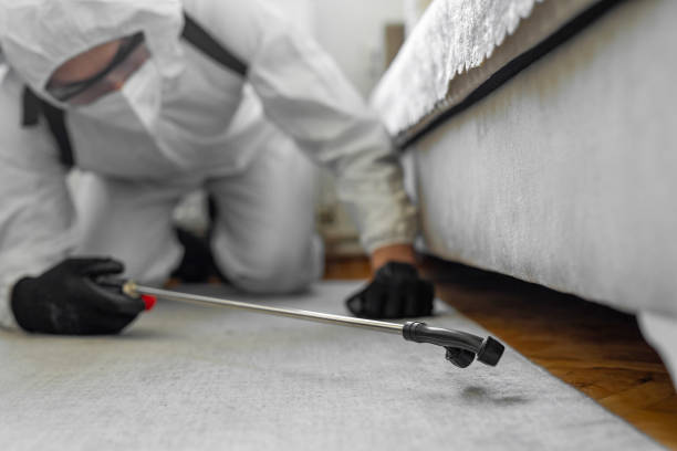 Professional Bed Bug Control technician working in Thompsonville, CT