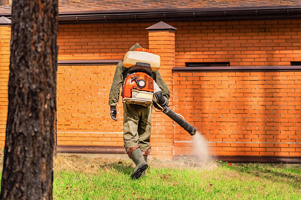 Trusted Ant Control service in Thompsonville, CT - Nex Pest Control